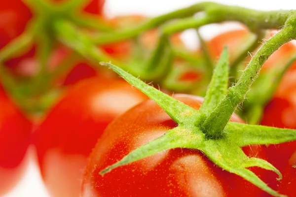 Tomates jugosos aislados en blanco — Foto de Stock