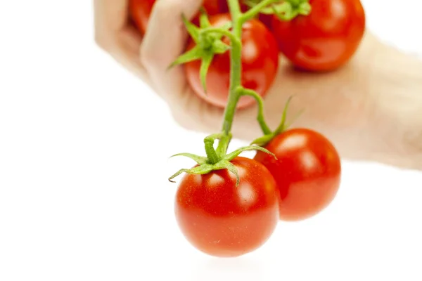 Ζουμερές ντομάτες στο χέρι που απομονώνονται σε λευκό — Φωτογραφία Αρχείου