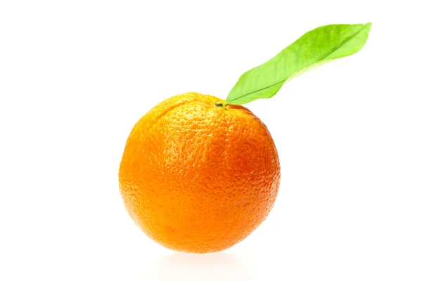 Oranje met blad — Stockfoto