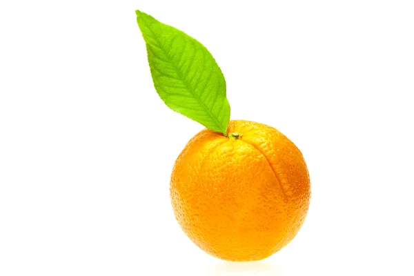 Oranžová s listy — Stock fotografie