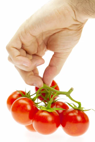 Juicy tomatoes in hand isolated on white — Stock Photo, Image