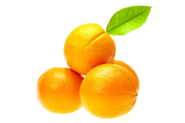 Narancs, a levelek — Stock Fotó