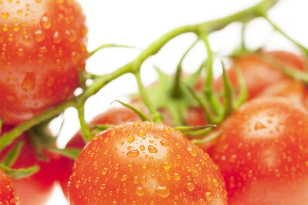 Tomates suculentos isolados em branco — Fotografia de Stock