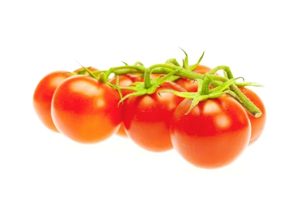 Banda rajčete izolovaných na bílém — Stock fotografie