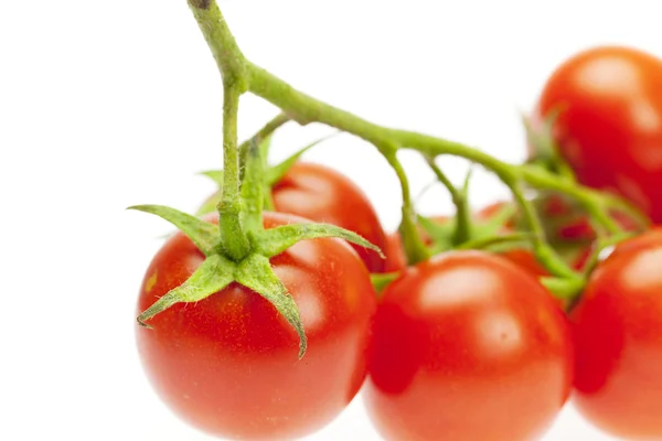 Tomates suculentos isolados em branco — Fotografia de Stock