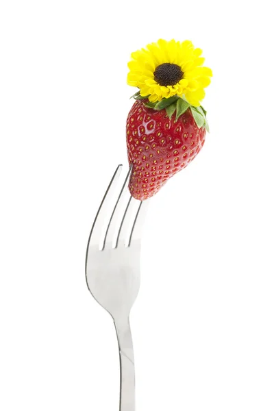 Aardbei met een bloem op een vork geïsoleerd op wit — Stockfoto
