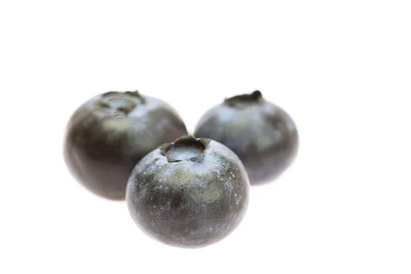 Blueberries isolated on white — Stock Photo, Image