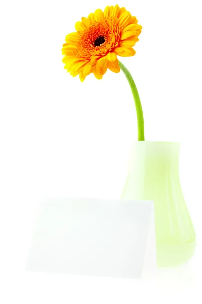 Cartão e uma flor em um vaso isolado em branco — Fotografia de Stock