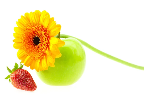 Eper-, alma- és elszigetelt fehér virág — Stock Fotó