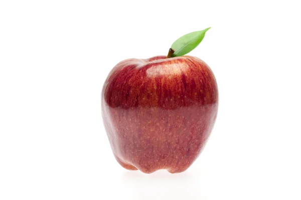 Manzana roja — Foto de Stock