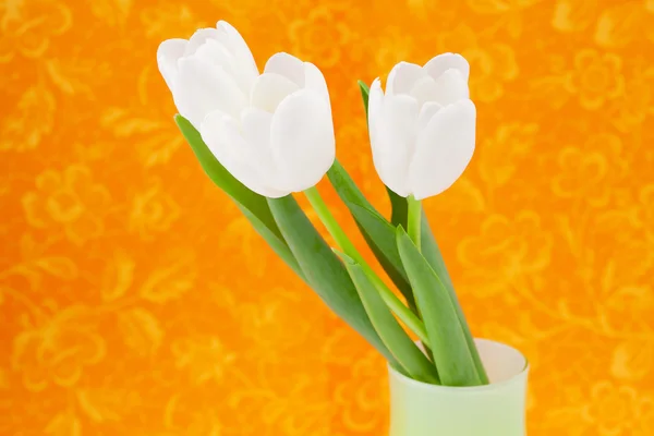 Białe tulipany w wazonie na pomarańczowym tle — Zdjęcie stockowe