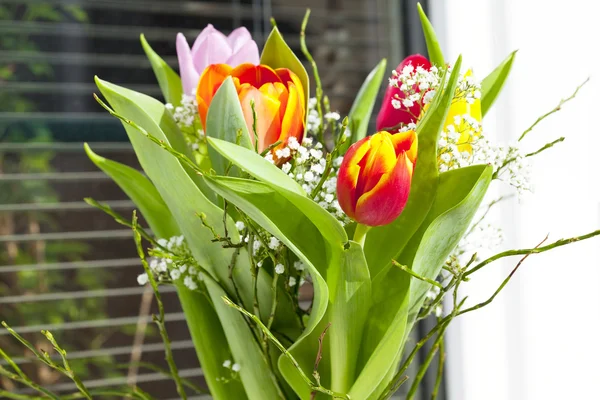 A spring bouquet with tulips — Stock Photo, Image