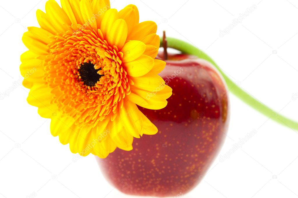 Flower and apple isolated on white