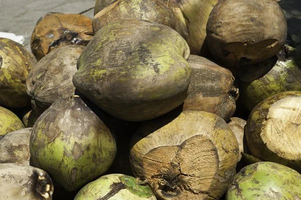 stock image Coconuts