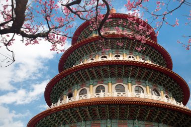 Sakura ve Tapınak