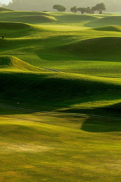 Golf ställe med fin grön — Stockfoto