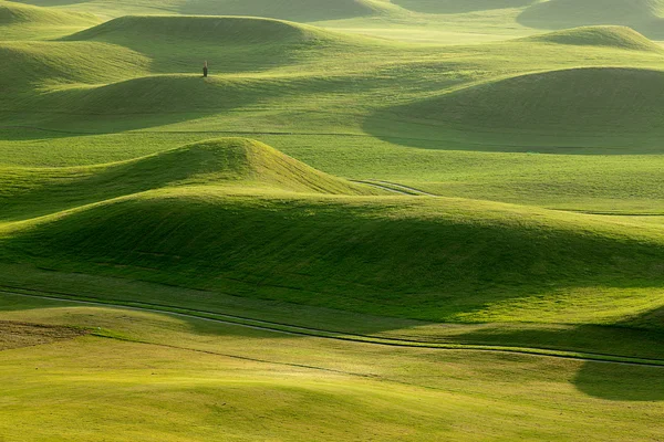 Зеленая площадка для гольфа с красивой зеленью — стоковое фото
