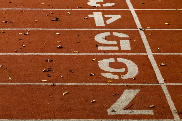 Parça yaprak döken arka plan ile yarış — Stok fotoğraf