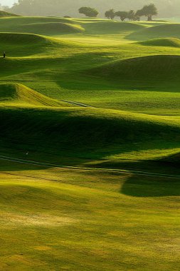 güzel yeşil ile Golf yer