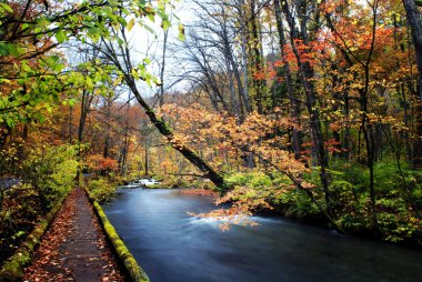 oirase düşmek, japan