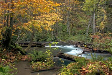 oirase düşmek, japan