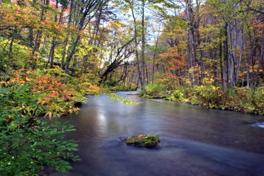 oirase düşmek, japan