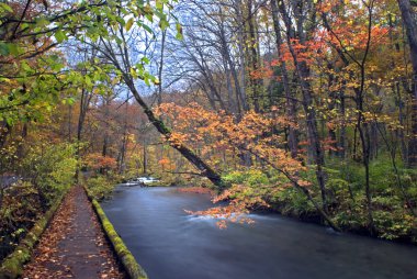 oirase düşmek, japan