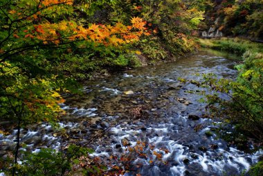 oirase düşmek, japan