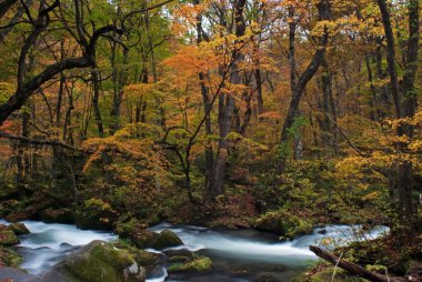 oirase düşmek, japan