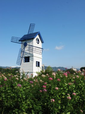 çiçekli mavi Rüzgar gülü