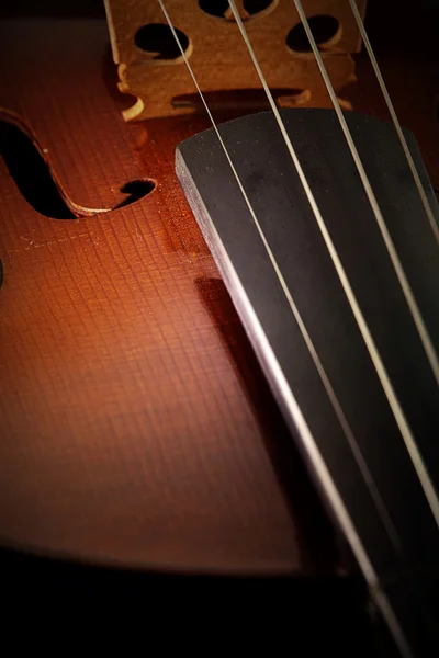 Violin with little dusk — Stock Photo, Image