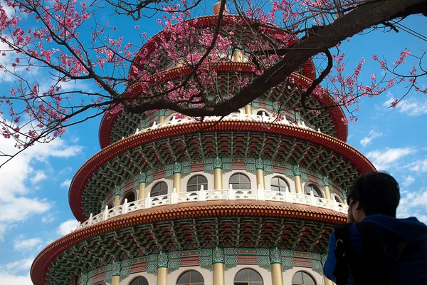 Sakura, tempio e cielo blu — Foto Stock
