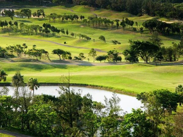 Lugar de golf con agradable verde y molino de viento de energía después del lugar —  Fotos de Stock