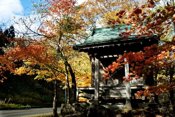 Temple with maple — Stock Photo, Image