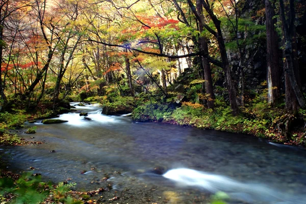 奥入瀬の秋、日本 — ストック写真