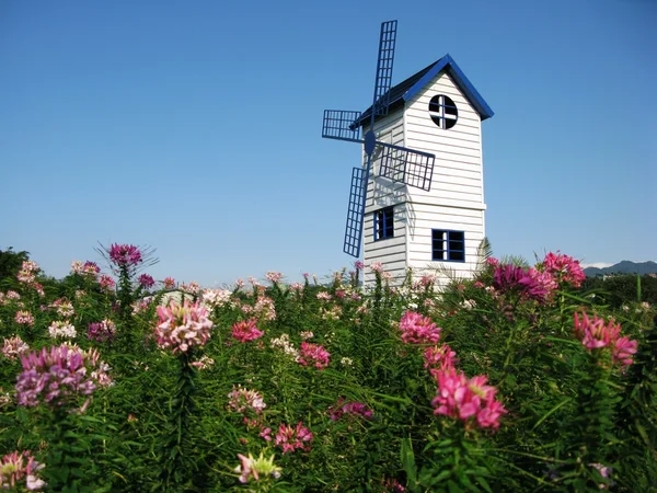 Moinho de vento azul com flor — Fotografia de Stock