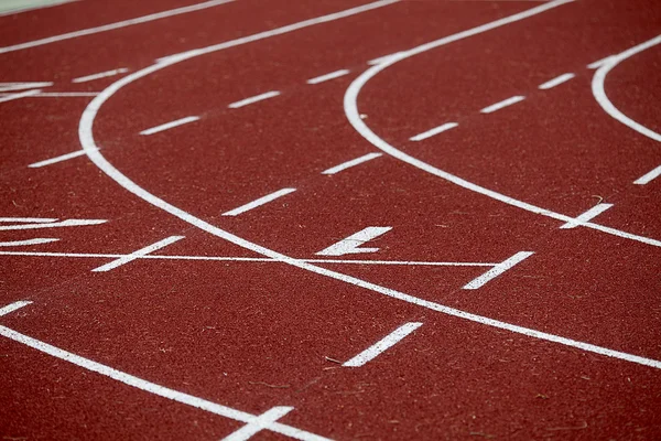 stock image Racing track with Deciduous- background