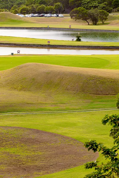 Grüner Golfplatz mit schönem Grün — Stockfoto