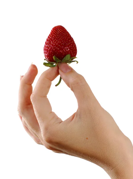 stock image Single strawberry in woman hand