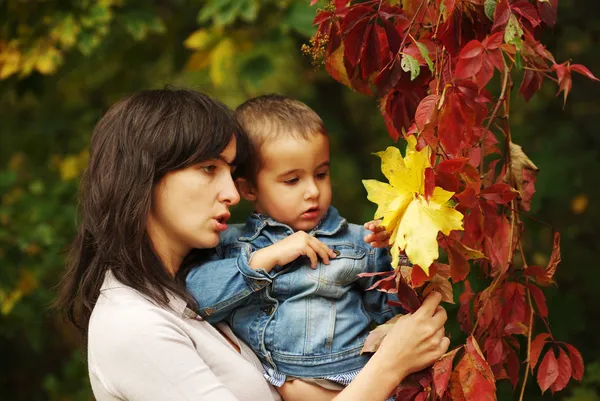 Mulher e menino pegam folhas — Fotografia de Stock