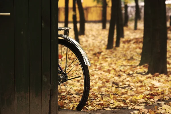 Roda de bicicleta no amarelo — Fotografia de Stock