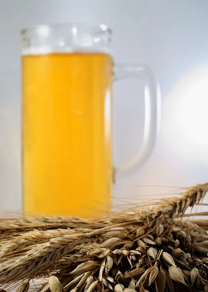 Barley and beer — Stock Photo, Image