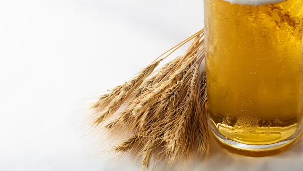 Barley and beer — Stock Photo, Image