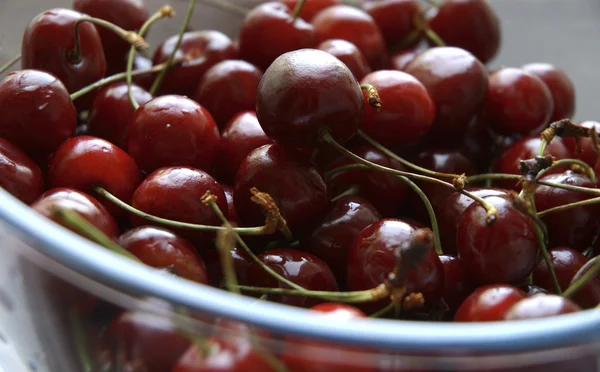 Wet sweet cherries — Stock Photo, Image