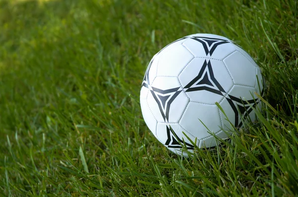 stock image Soccer