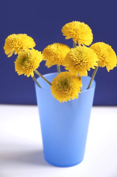 Yellow chrysanthemums — Stock Photo, Image