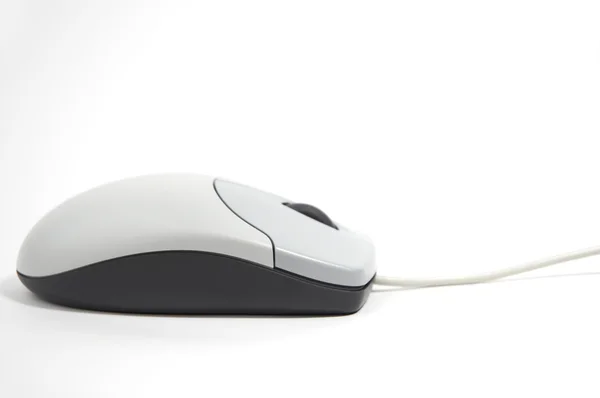 Mysz na białym tle — Zdjęcie stockowe