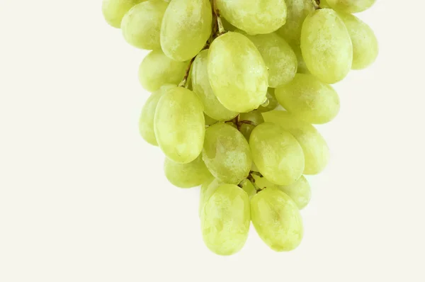 Mokra słodkie winogrona — Zdjęcie stockowe