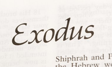 ExODUS
