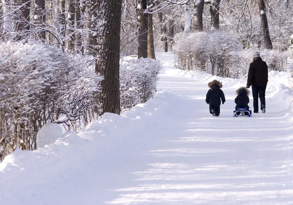 Zimowy spacer — Zdjęcie stockowe